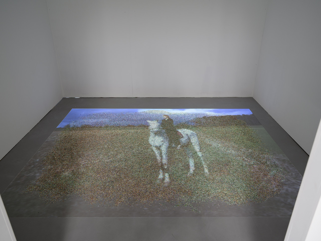 TILL THE END OF THE RAINBOW 2024 Video Installation, Shredded Euronotes, Beamer, Video, Blackbox, camera: Brigitte Neufeld 4m x 2m 