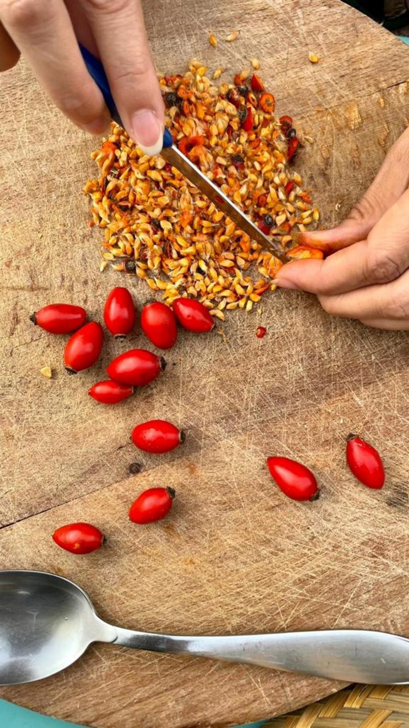Gartensonntag: Naturmedizin aus dem Garten - Hagebutten-Oxymel