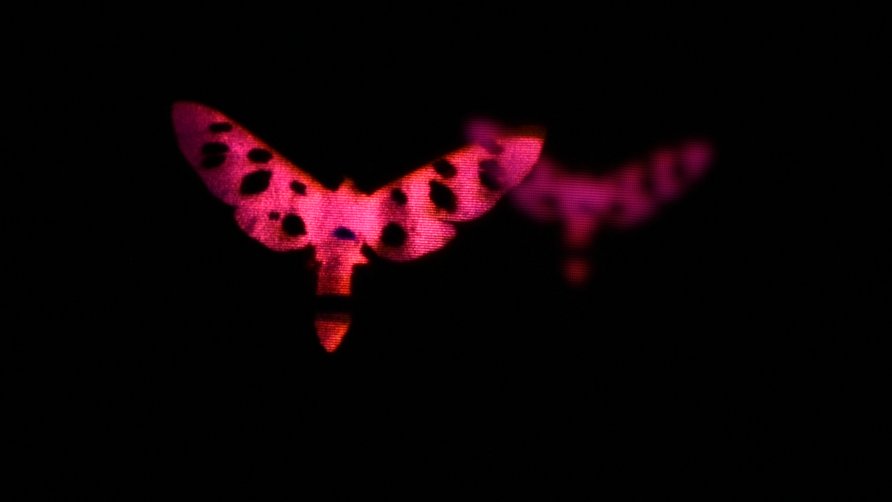 Credit: Laurence Favre