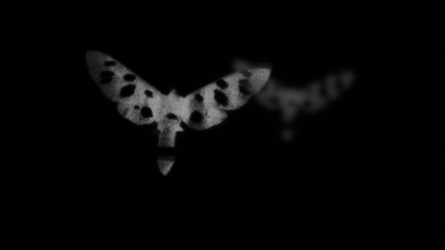 Animating Transformation Animating Transformation