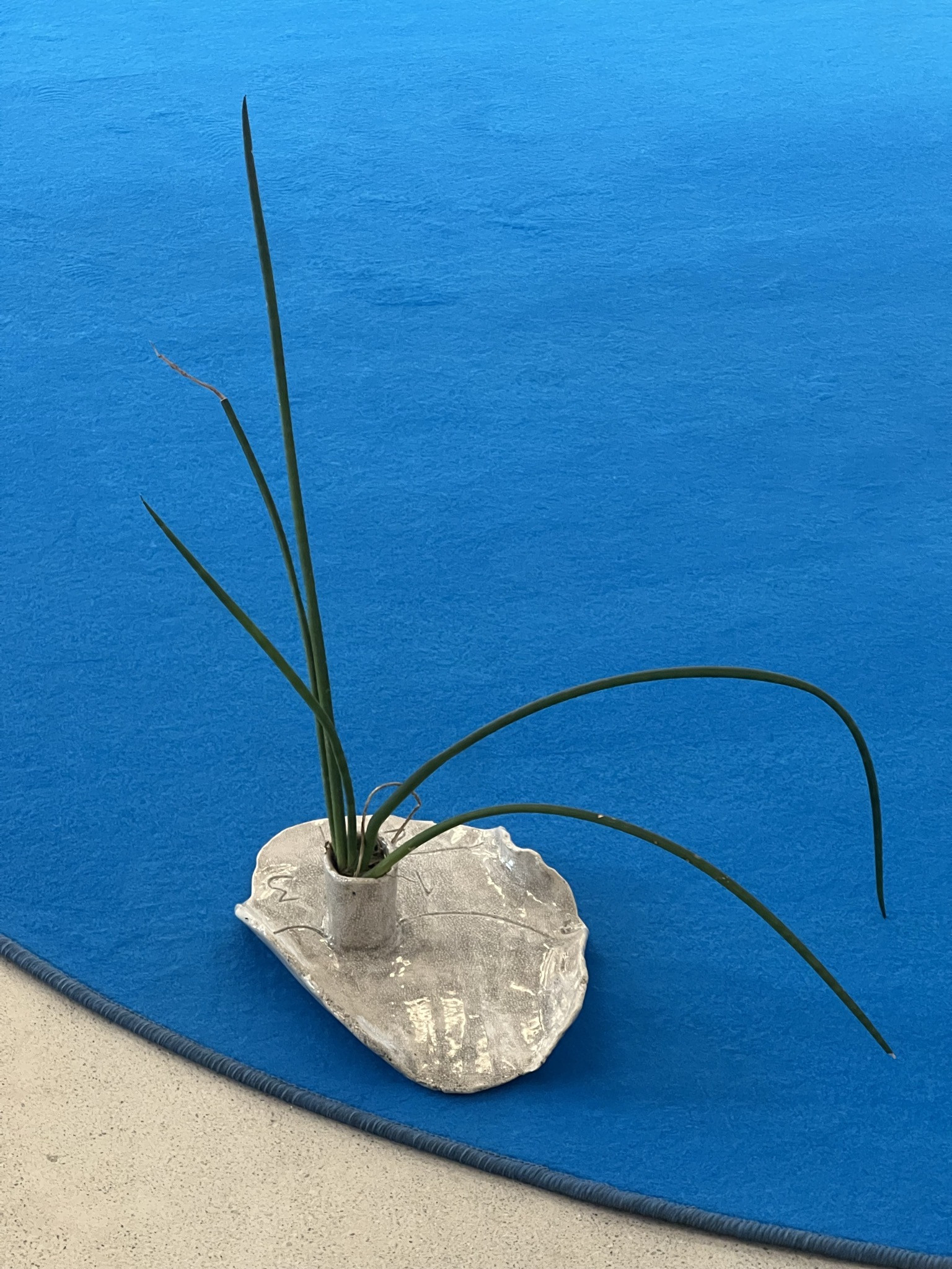Florian Dombois, Be'n'Kite, Letzigraben Zürich, 2026