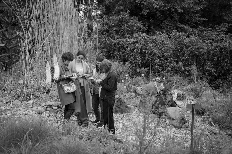 Botanical Thinking