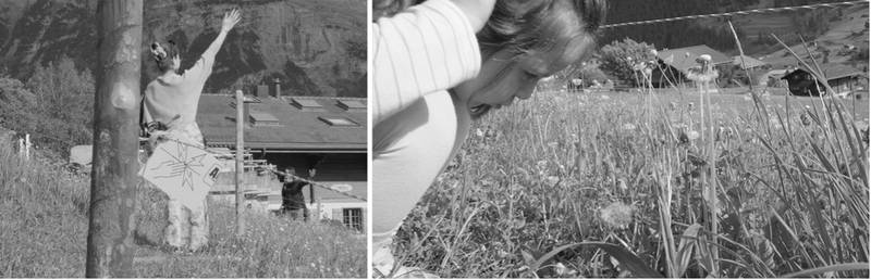Figure 5. Fence and warning sign in Grindelwald; Figure 6. Girl with a dandelion in Grindelwald