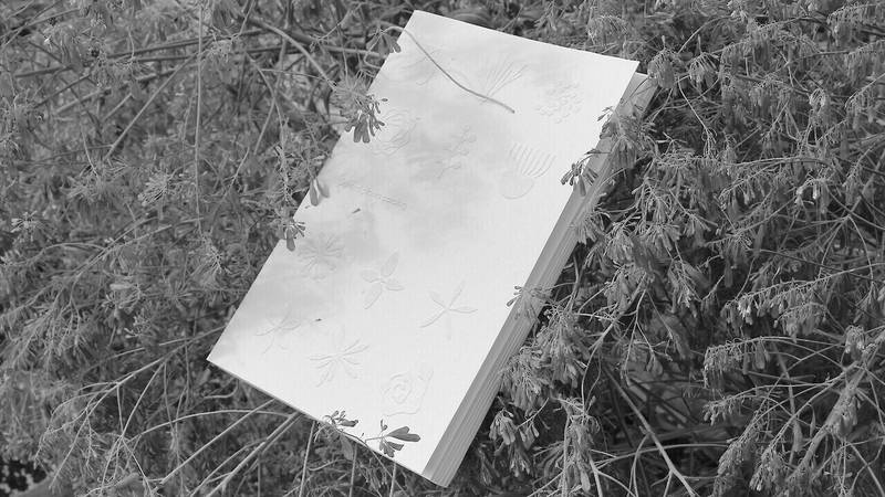 Auf dem Hintergrund einer grünen Pflanze liegt ein weisses Buch. Auf dem Cover sind Umrisse von Blättern und Blüten zu erkennen. © ZHdK.