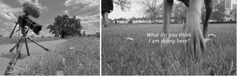 Figure 2. My camera and microphone in London; Figure 3. Still image from the footage shows a dog and people approaching my camera
