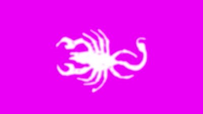 undefined - 0af51f4f-e3e3-473d-b0d0-69ba480e10b3