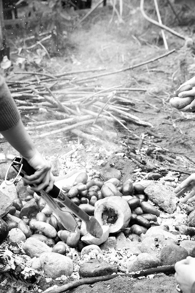 Encounters with Taste