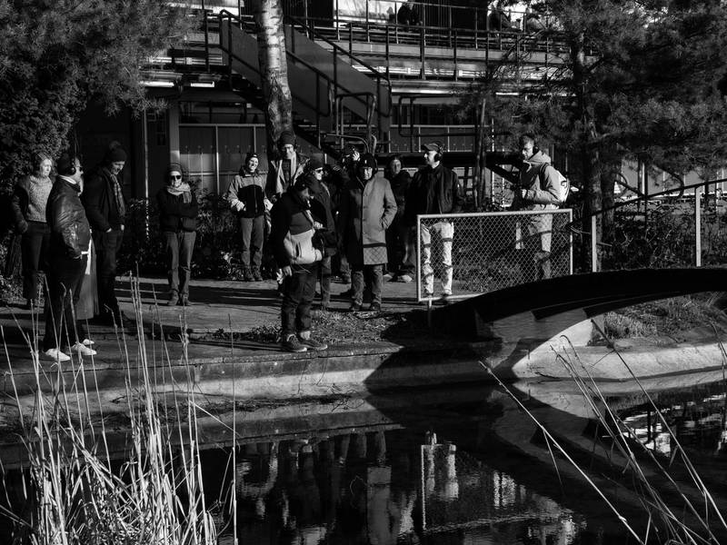 Sea Signals Lake Noise Audiowalk