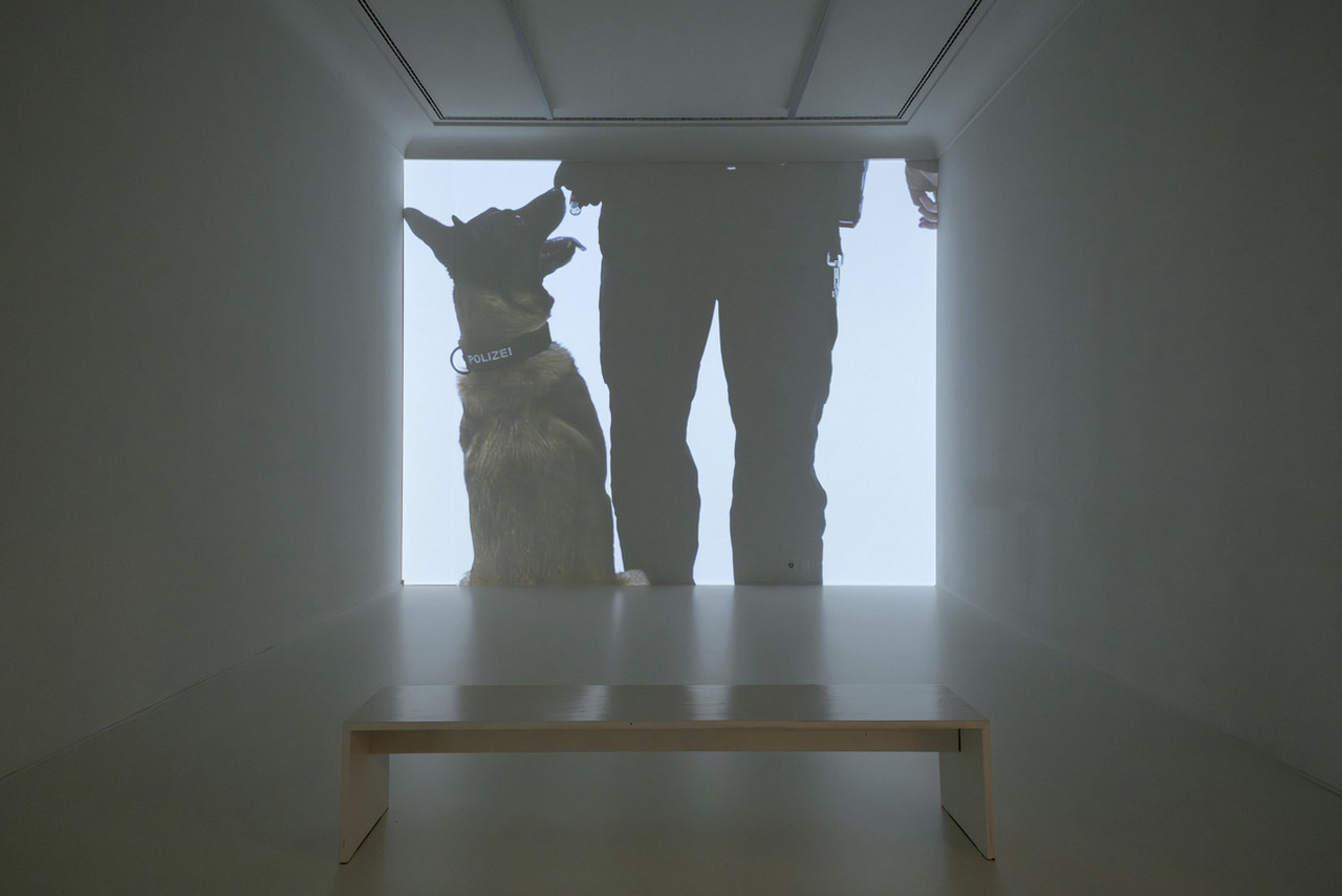 Beiss die Hand, Ausstellungsansicht Helmhaus Zürich, 2024. Foto: Zoe Tempest