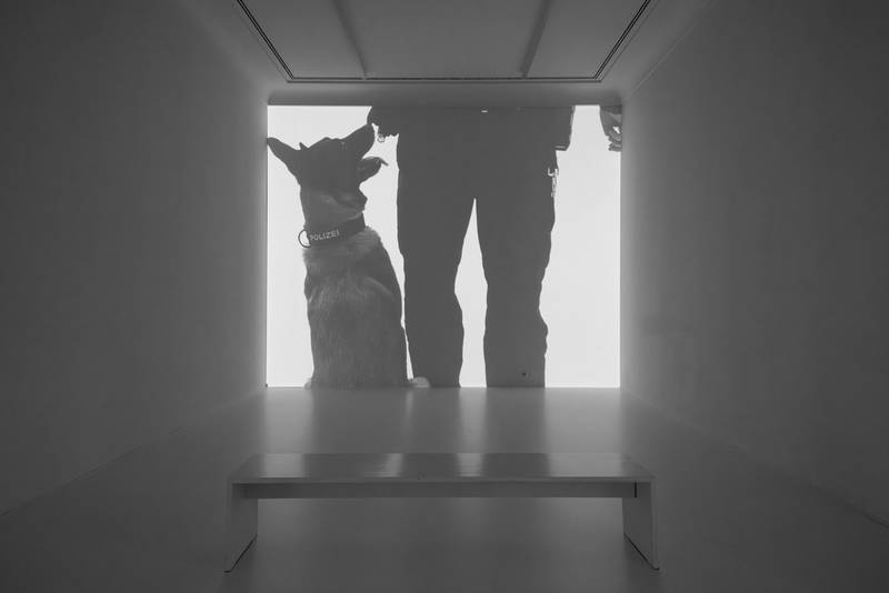 Beiss die Hand, Ausstellungsansicht Helmhaus Zürich, 2024. Foto: Zoe Tempest