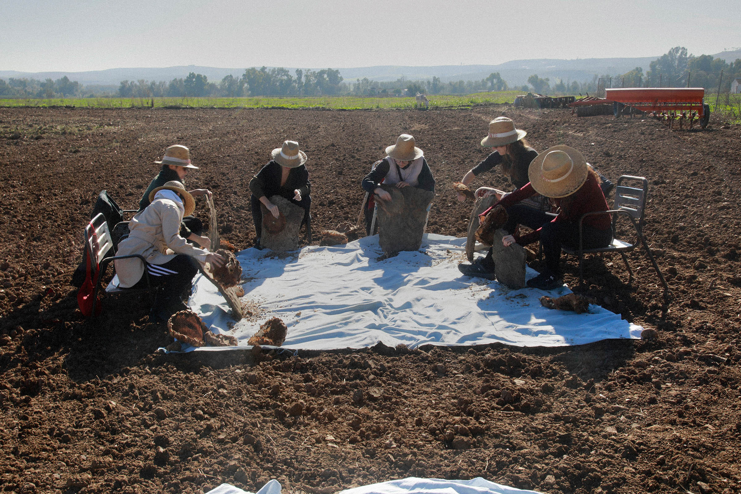 Impressions from the Study Trip to Cordoba, November 2025. Foto: Lourdes Cabrera