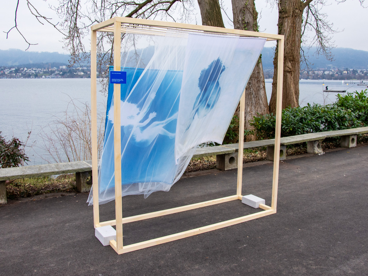 Se la vita nell’acqua