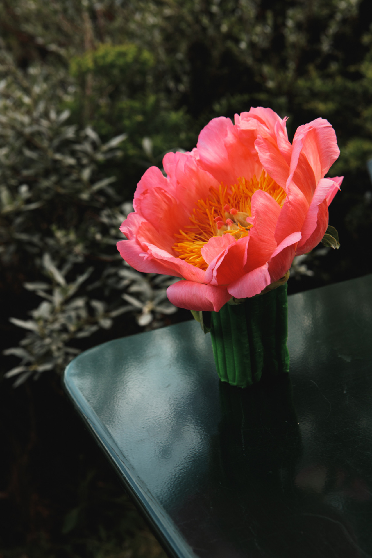 Bild mit Blume