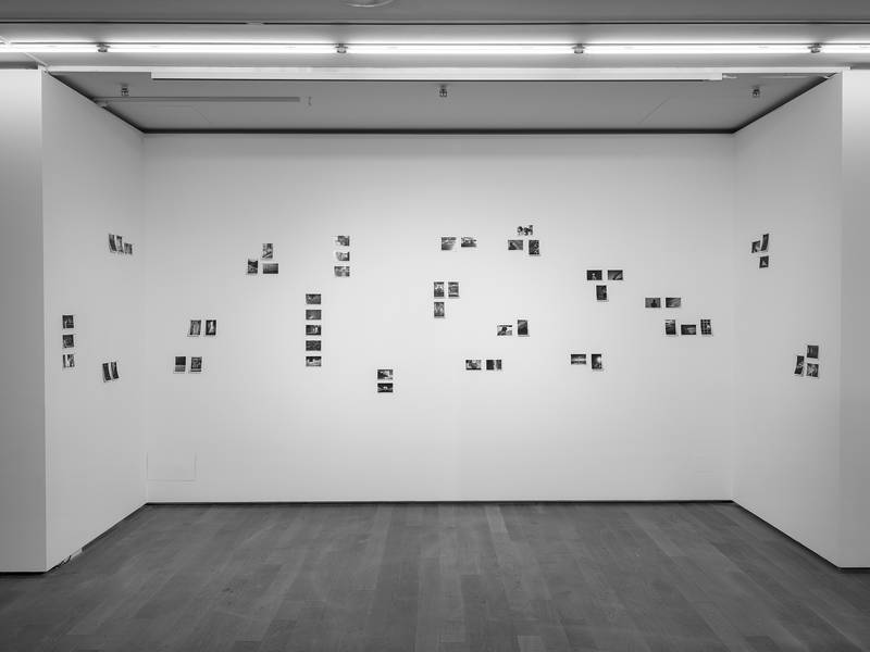 ARCHIVE AFFAIRS 2024 53 photographic inkjet prints Total dimensions variable, prints at 11 x 5.5cm