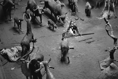 Laurence Favre: "In Search of a Healing Disorder" (2026)