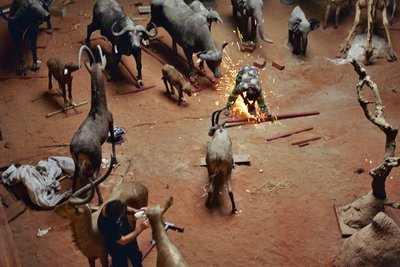 Laurence Favre: "In Search of a Healing Disorder" (2026)