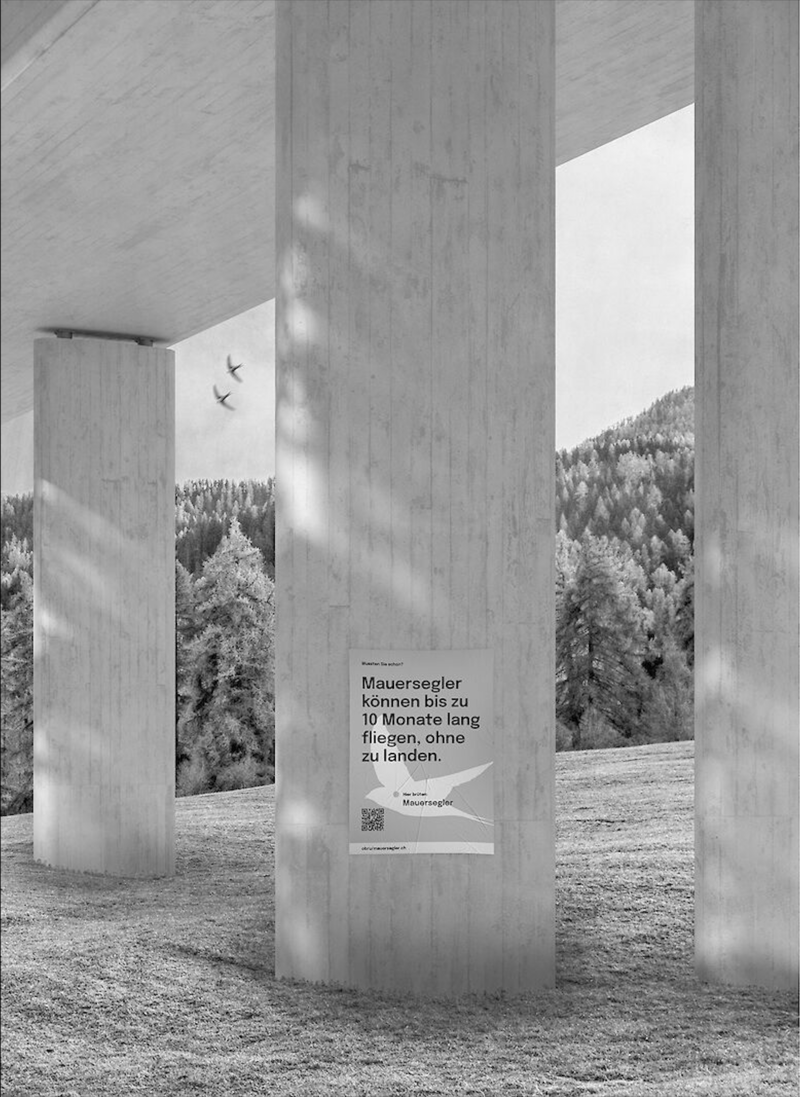 The bird nesting boxes with the accompanying information campaign.
