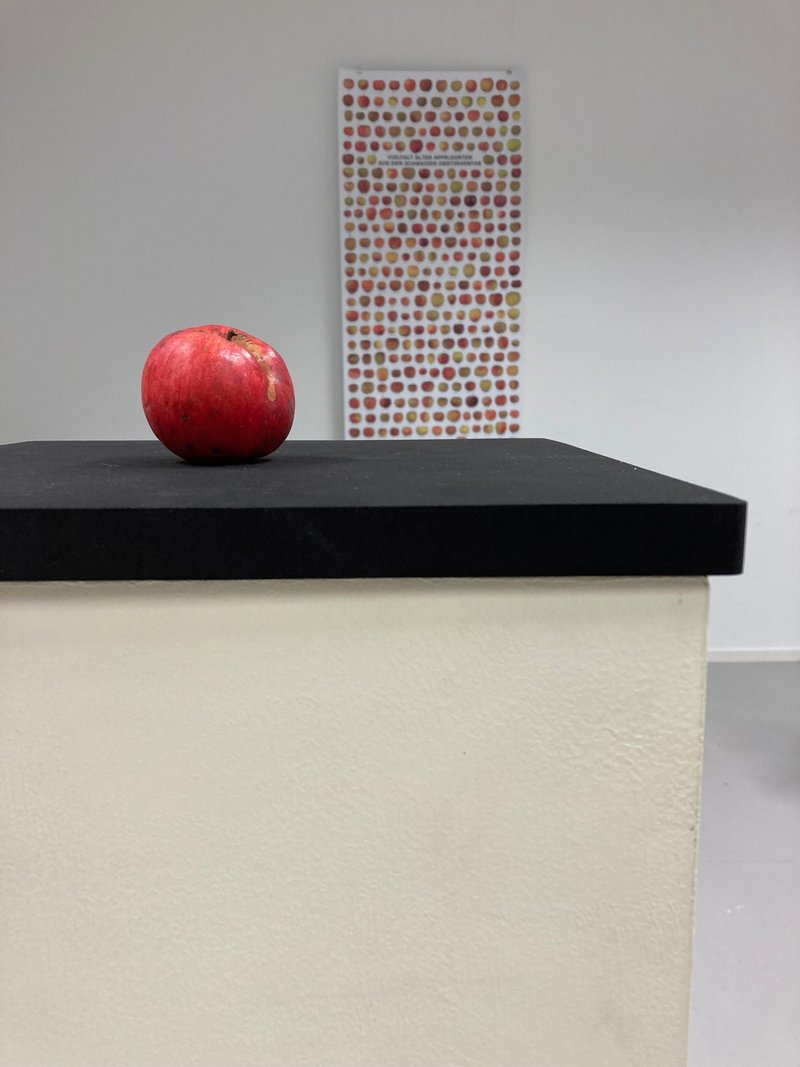 CAS Kreativitäts-Coaching 1