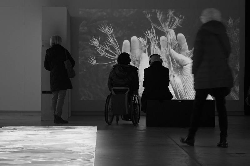 Diplomausstellung Bachelor Art Education 2023