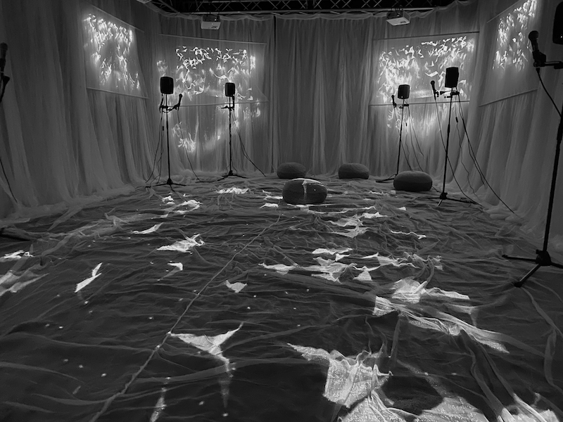 Theaterstück «Verwobene Welten – Myzel und die Sprache der Symbiose»