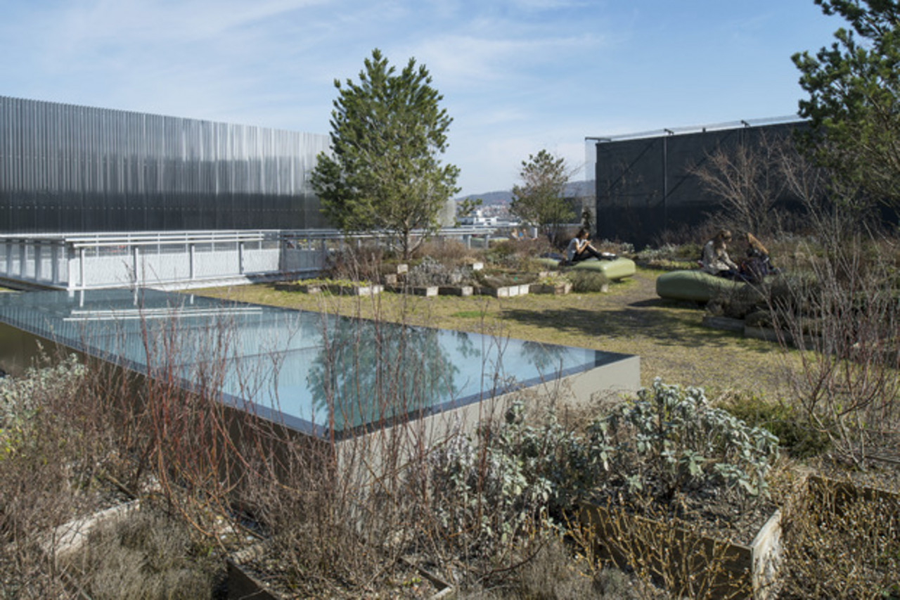 ZHdK Rooftop Terrasse