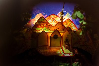 «Track-track: Let’s follow the cat!»