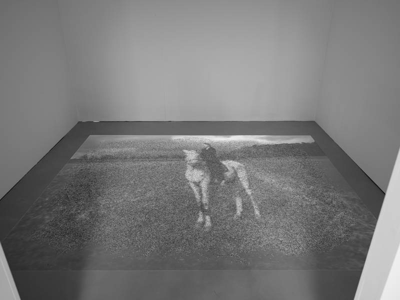 BIS ZUM ENDE DES REGENBOGENS 2024 Videoinstallation, Geschredderte Euroscheine, Beamer, Video, Blackbox, Kamera:Brigitte Neufeld 4m x 2m