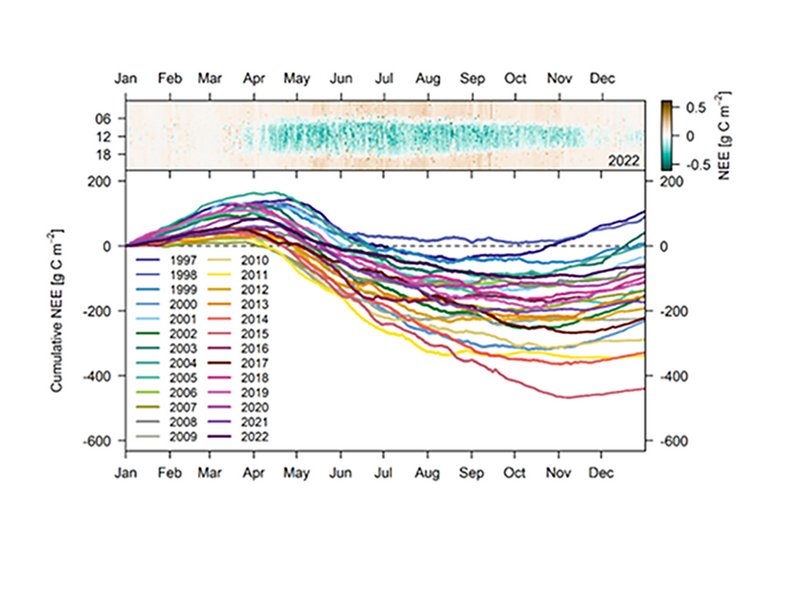 A Collective Work Between Artist and Environmental Scientist_Yue Wu_Chart_provided by Pr. Dr. N. Buchmann_Monthly carbon Dioxide Net Ecosystem Exchange from 1997 to 2022