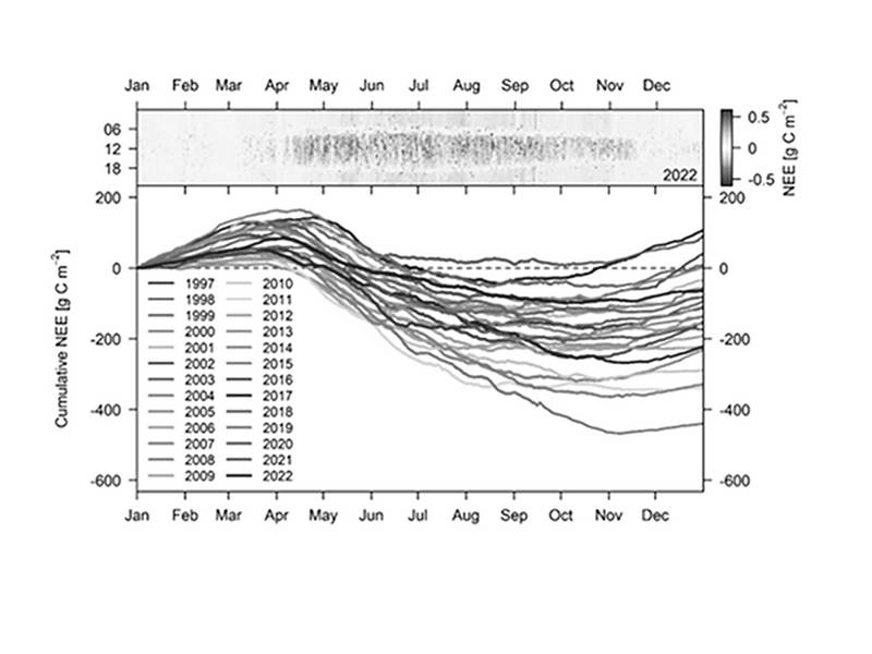 A Collective Work Between Artist and Environmental Scientist_Yue Wu_Chart_provided by Pr. Dr. N. Buchmann_Monthly carbon Dioxide Net Ecosystem Exchange from 1997 to 2022