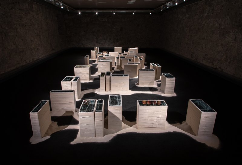 Paulo Wirz, Credits: Collegium Helveticum