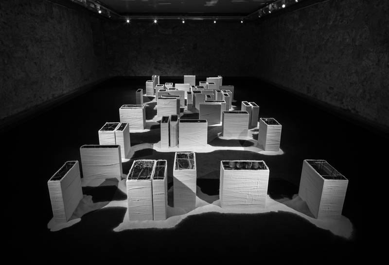 Paulo Wirz, Credits: Collegium Helveticum