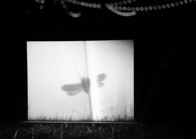 Laurence Favre: "Analog Butterfly Holography for Expanded Spectropoetics"