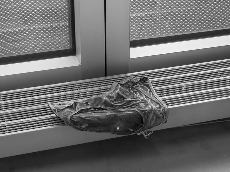 Arthur Heck, I want us to see the things that are disappearing together for our love to be the memory of them, 2024. Photo: Cedric Mussano