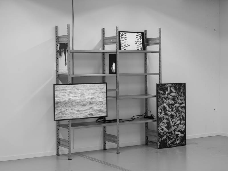 SCHIFFLIVERSENKEN (ALTERNATION_04) 2023-2024 multi-channel video installation, sound