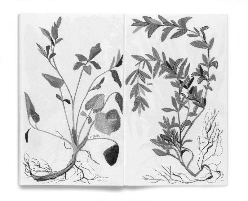 Illustration: Simone Stolz