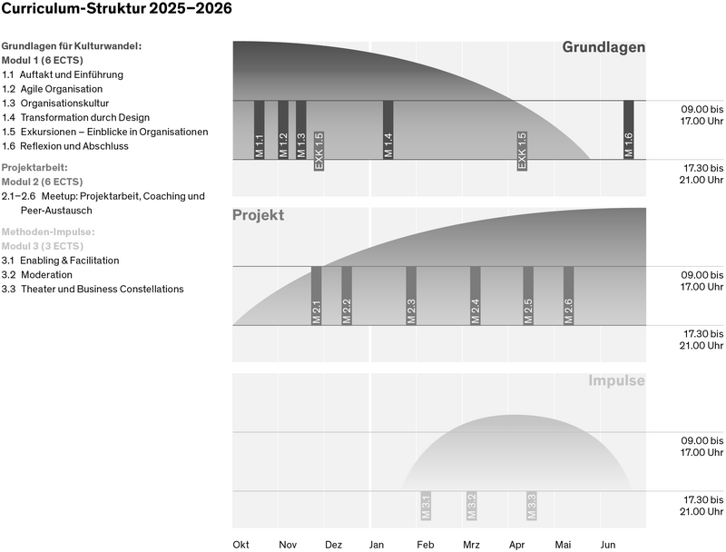 Porgrammstruktur des CAS Culture Change