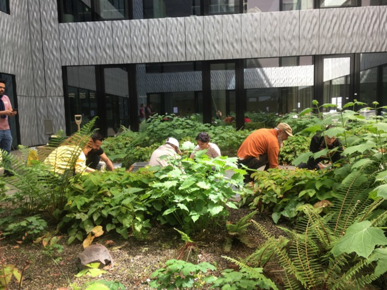 Bild: Common Grounds, Alisha Dutt Islam, 2023