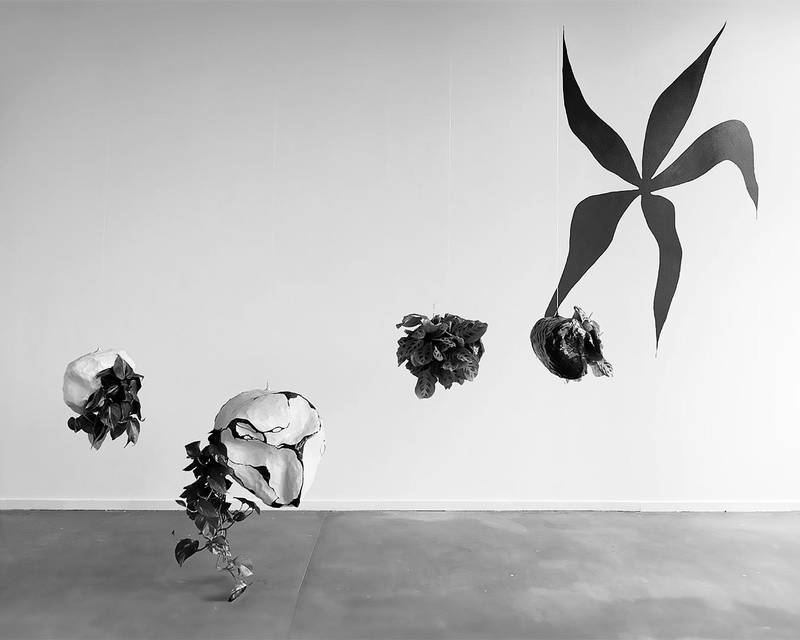 GARDENS OF DESPAIR 2024 Acryllack, Struktur aus Metalldraht, Gips, Bootslack, Angelleine, Pflanzen ​​​​​​​Installation 220 x 315 x 140 cm