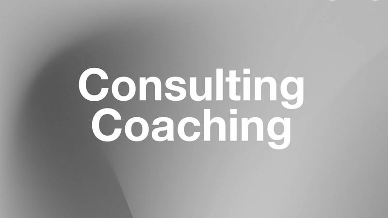 Consulting / Coaching