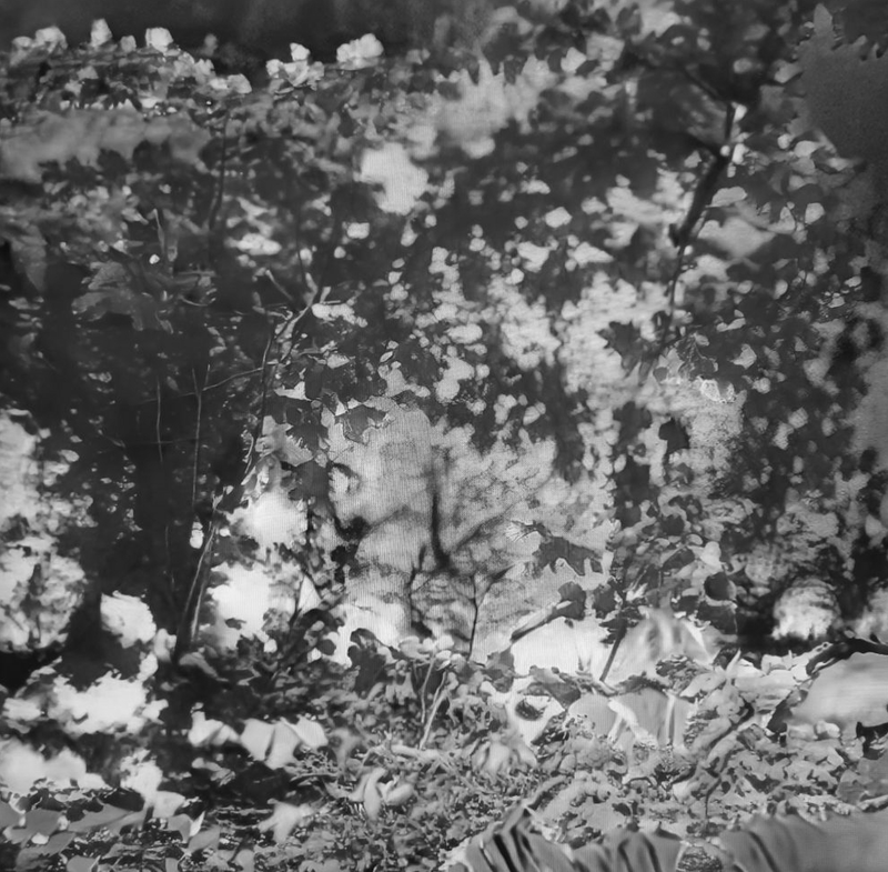 Künstliche und Künstlerische Intelligenz in der Vermittlungspraxis