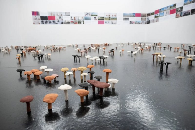 Die Ausstellung von Ishita Chakraborty im Aargauer Kunsthaus. Foto: Alex Spichale