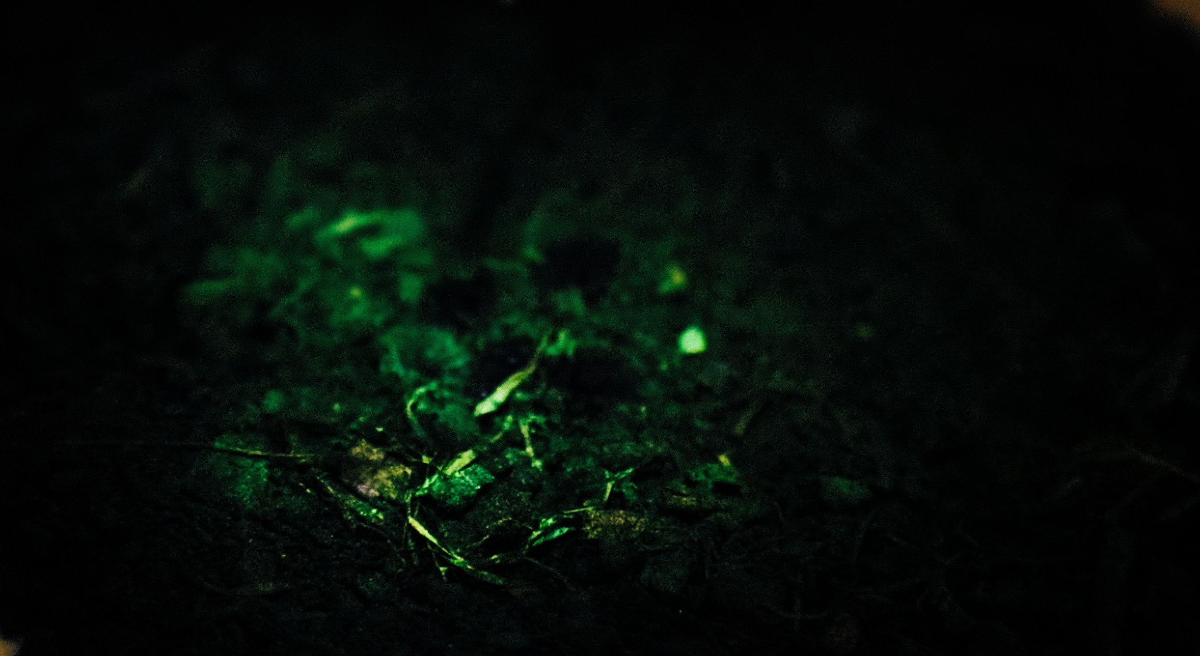 Arbeit «CHORNOZEM» von Yaroslava Shylyk, Olivia Menezes & Kirill Kohl. © ZHdK.