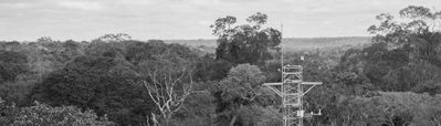 Acoustic Ecology and Artistic Research