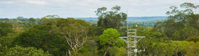 Acoustic Ecology and Artistic Research