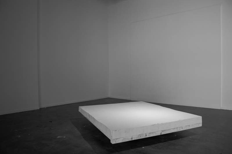 DAS KAPITAL WAND: CUTTING BEUYS 2018-2014 Wandausschnitt aus der Kammgarn Schaffhausen (ehem. Hallen für neue Kunst), Holzgerüst, Europalette, Siebdruck auf Wand  ​​​​​​​185x155cm