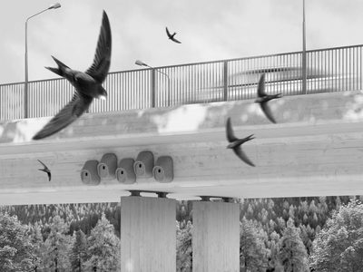 Obru - Nisthilfen an Betonbrücken