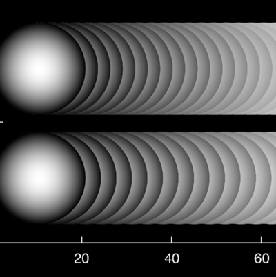 Exchange Students 2024
