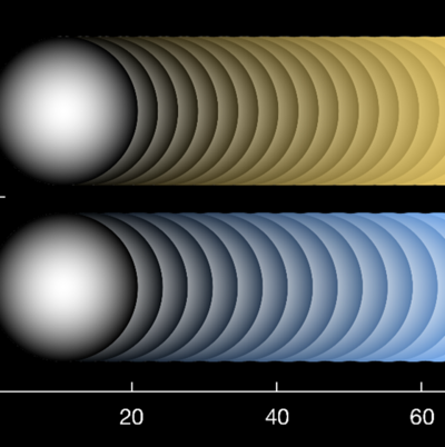 Exchange Students 2024
