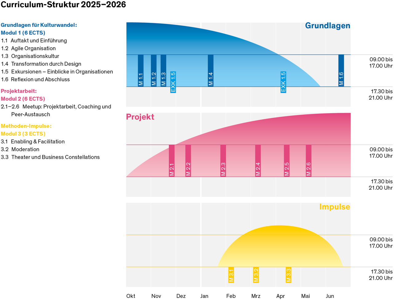 Porgrammstruktur des CAS Culture Change
