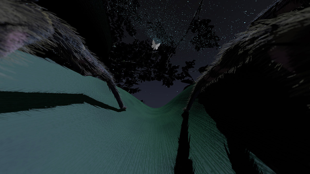 Still aus «Spinne sein». © ZHdK.